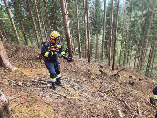 KHD Waldbrand Übung Breitenau 11.04.2026